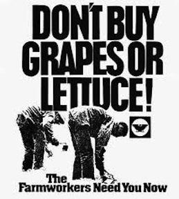 Dont' Buy Grapes