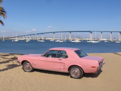 Pink Mustang