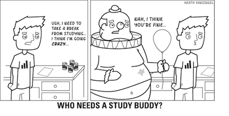 study buddy