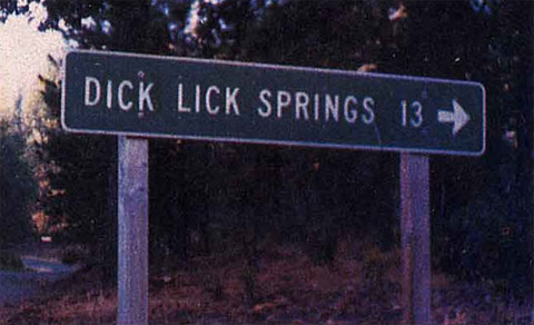 adult dick lick