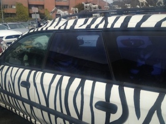 Zebra Car 1