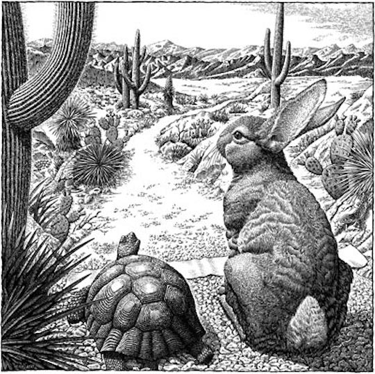 Scratchboard_Tortoise_And_Hare