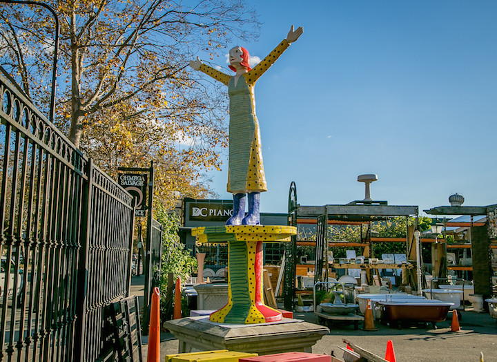 Quirky Berkeley in Berkely, Calif. on Tuesday, November 11th, 2015.