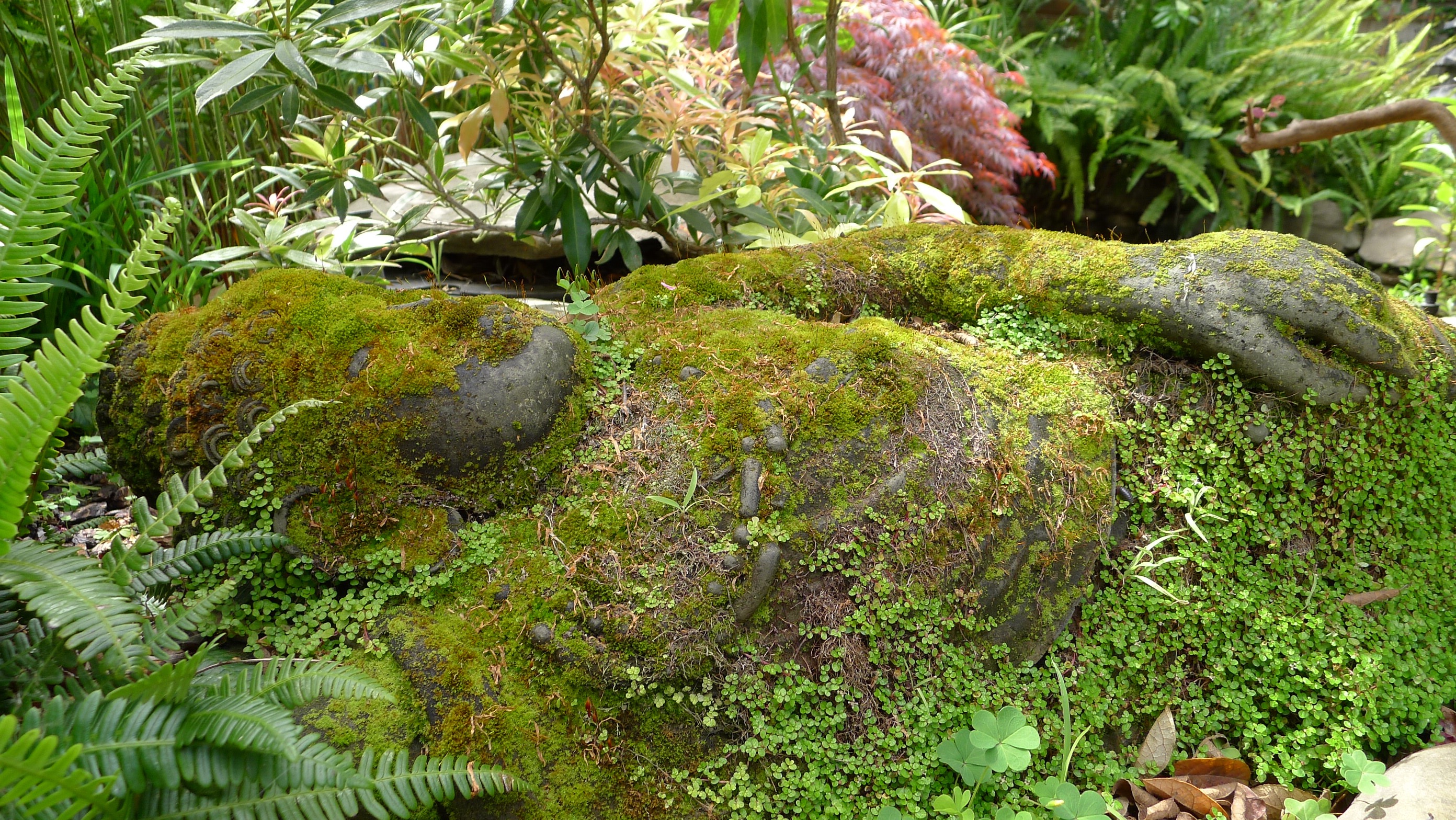 Moss-covered reclining Buddha, 1300 Ordway. Photo: Colleen Neff
