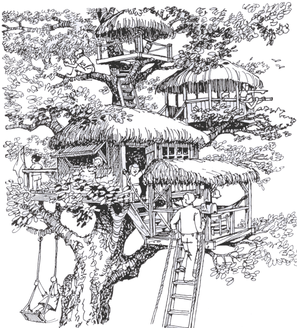 treehouse16