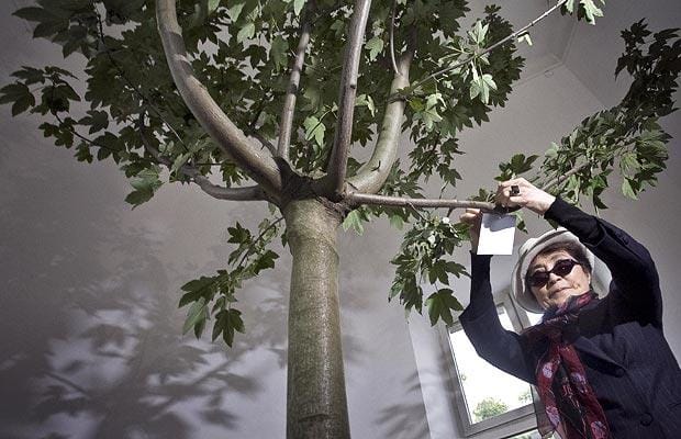 Yoko Ono wish tree.  Photo: http://www.theartstory.org/blog/yokoono/yoko-ono-wish-tree/