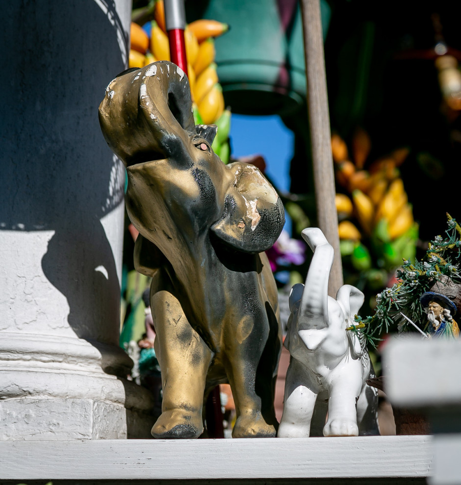 Quirky Berkeley Elephants